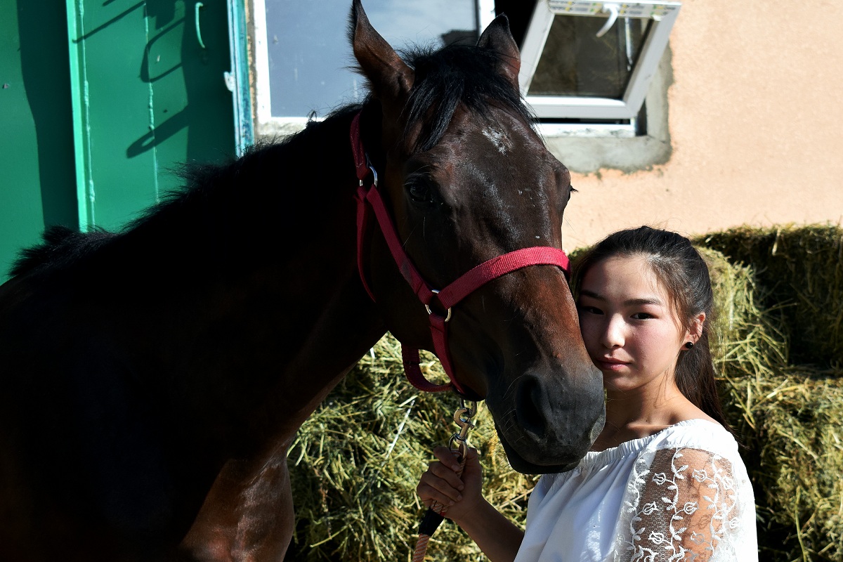 A horse starts a race knocking the ground with a hoof