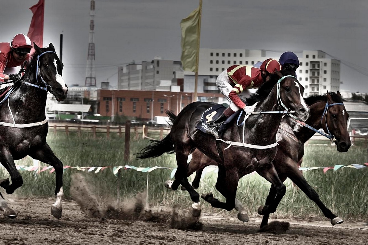 Yakutia is Considering Sending its Best Horses to the World Nomad Games